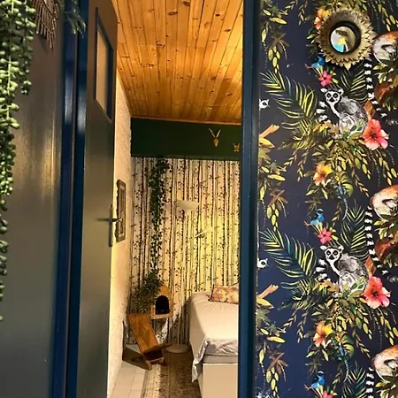 Maison De Caractere Pour Ou Travail * Teyran